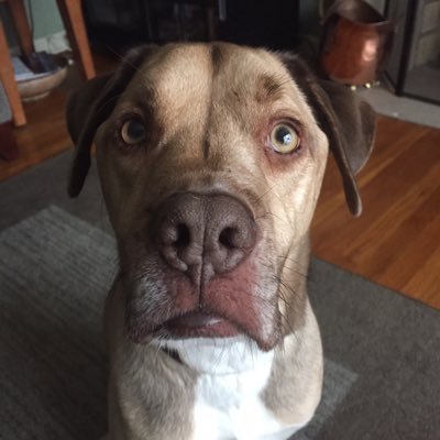 KBless8's profile picture. 