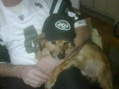 #1 NY Jets fan on the West Coast...