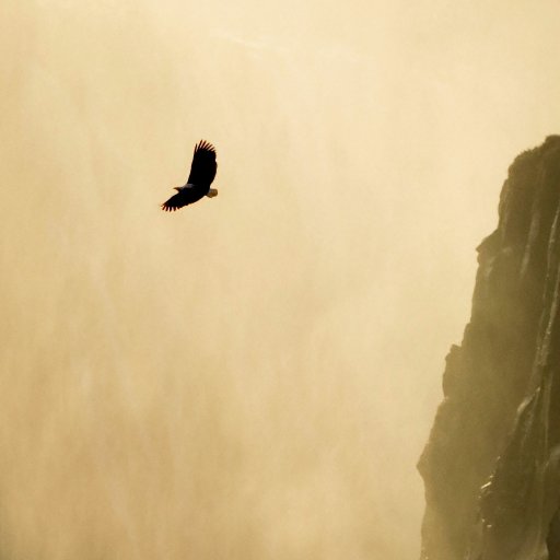 ThreemanArmy2's profile picture. rom専
メモ帳