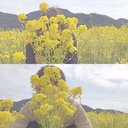 二井内 智哉 (@011989N) Twitter