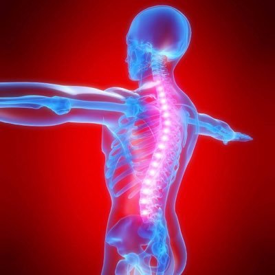Fort Lee Health Center is located at 1067 Palisade Ave. Fort Lee , NJ. 201-886-8184 We specialize in Chiropractic care Acupuncture and Physical therapy