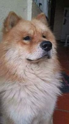 sierrin30's profile picture. la vida