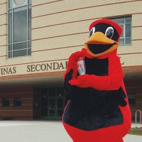 Cardy The Cardinal (@sta_brampton) 's Twitter Profile