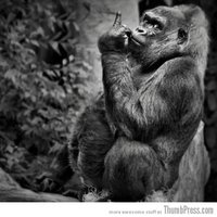 Table Media (@table_media) 's Twitter Profile