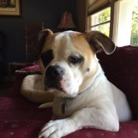 Juli Johnson (@julinoe32) 's Twitter Profile