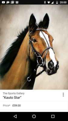 horsesforprofit's profile picture. Horse racing fan.I will be posting tips on https://t.co/lGf42NVBVp.hope to make everyone £££
