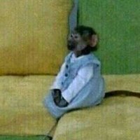 فرخ كووويتي (@zozox20) Twitter profile photo