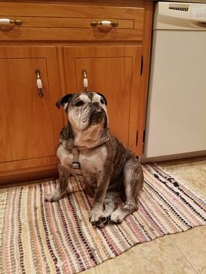 angryquaker1544's profile picture. 