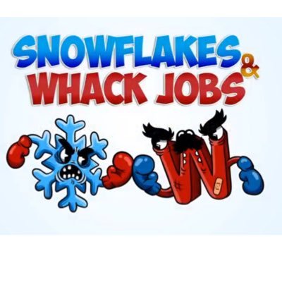 Snowflakes & Whack Jobs: A Card Game for the Politically Insensitive