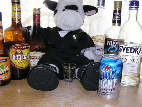 I am Blake Shelton's mascot. I travel from state to state with BSers--  Love my ladies!