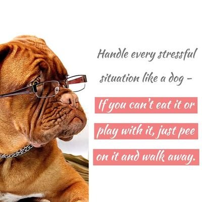 BabaXolani's profile picture. Manchester United FC!