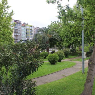 Alihofan1's profile picture. 