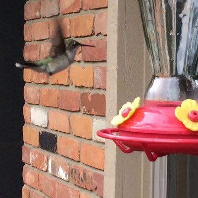 DaThump2's profile picture. Marketing and Stats: look to see how many people are polled, how is the question asked and who paid for the polling. Love to Hike and Bike!