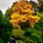sou_greeeen