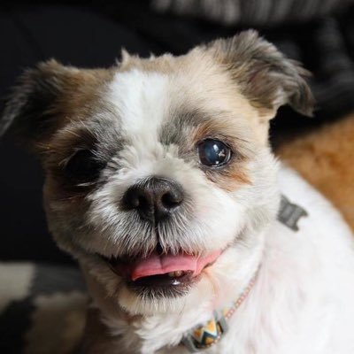 fluffernutterny's profile picture. 