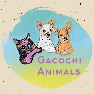 Gacochi_Animals's profile picture. Garito, Cody & Chito. | @Gacochi_Animals Datos Curiosos de Animales y Consejos de Cuidado. |   Curious Facts about Animals and Tips to take care of your pet.