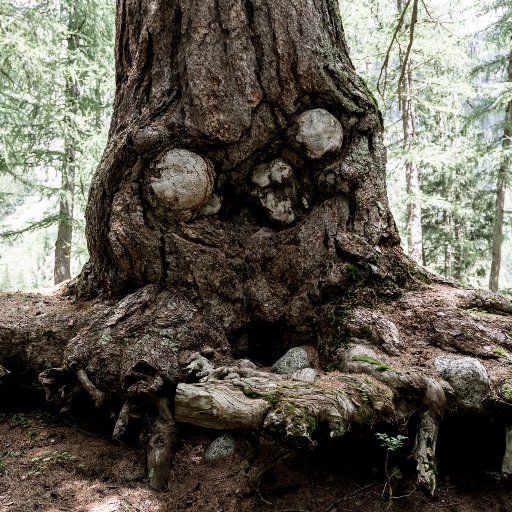 Vogliamo raccontare l'anima delle Dolomiti attraverso le storie che esse possiedono. Una foto, una storia. Di persone, luoghi, architetture.