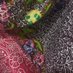 harish (@harishbatik) Twitter profile photo harish (@harishbatik) Twitter profile photo