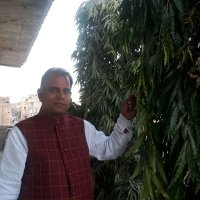 Dr Prem Choudhary (@drpremchoudhar2) 's Twitter Profile