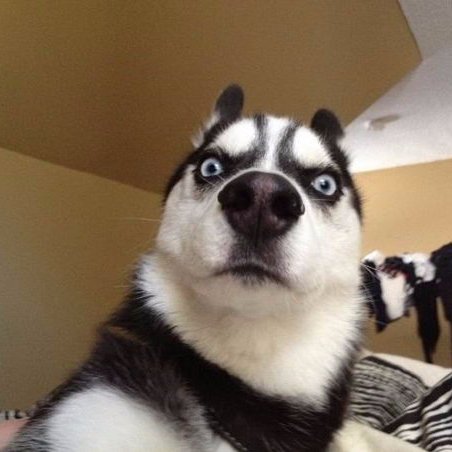 INGGGGG3's profile picture. รับปลดล้อคฟิวเตอร์ แอปvsco ราคา40 ติดต่อได้ ต่อราคาได้😊