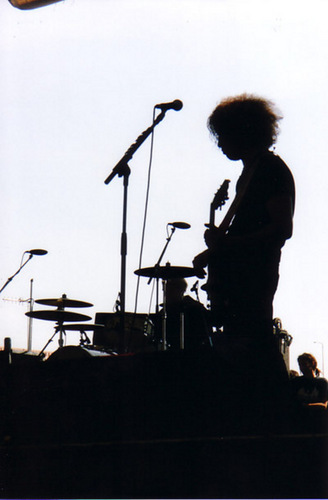 Rays_Afro's profile picture. I'm Ray's afro. Shut up and love me!