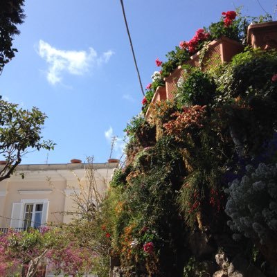 artesianempire's profile picture. @gingersuho's dead captive prince side account now used for sneaky sheith likes