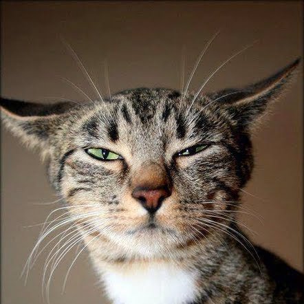 Church_stc's profile picture. 