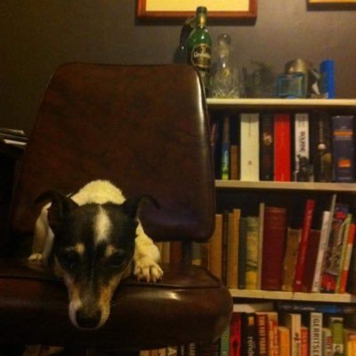 sheepylb's profile picture. 