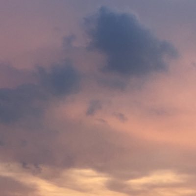 Angshiting's profile picture. I refuse to sink