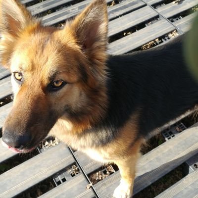 netian5's profile picture. 상식속에서  주거걱정없는 더불어 사는 세상!!