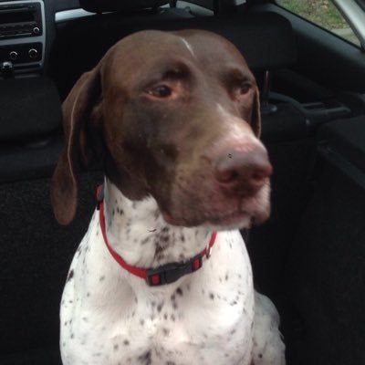 Benoit_Ida_F's profile picture. 