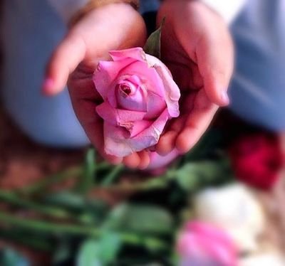 mughalboss81's profile picture. 