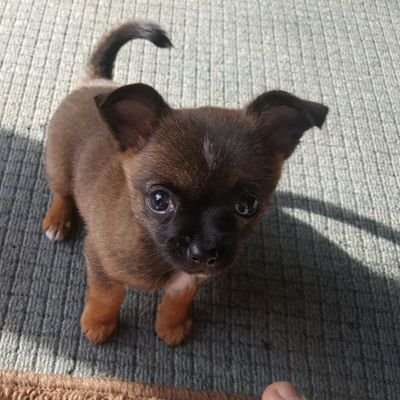 mstweety39's profile picture. love country music, originally from Mass but now in Kentucky  love New England sports especially Boston Red Sox 🤠⚾️❤🎶💙 & a University of Kentucky fan!!