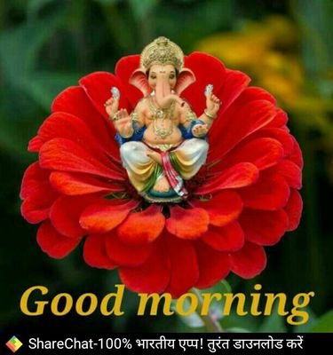 Rajeshsinghgur1's profile picture. Jai bhawani