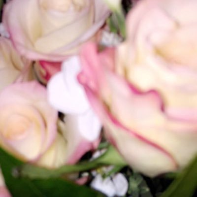 FaderRBLX's profile picture. Retired.