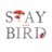StayandBird's profile image
