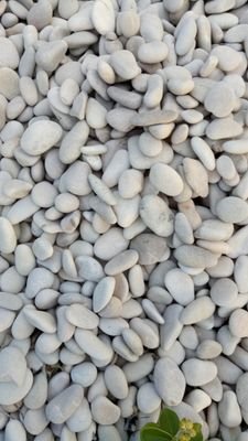 SUmelrerin's profile picture. Hiburan