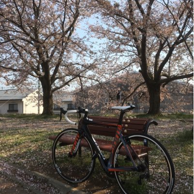 ロードバイク乗ってます！