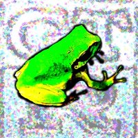 Syncopated_Frog @ ORNITHOLOGY(@syncopated_frog) 's Twitter Profile Photo