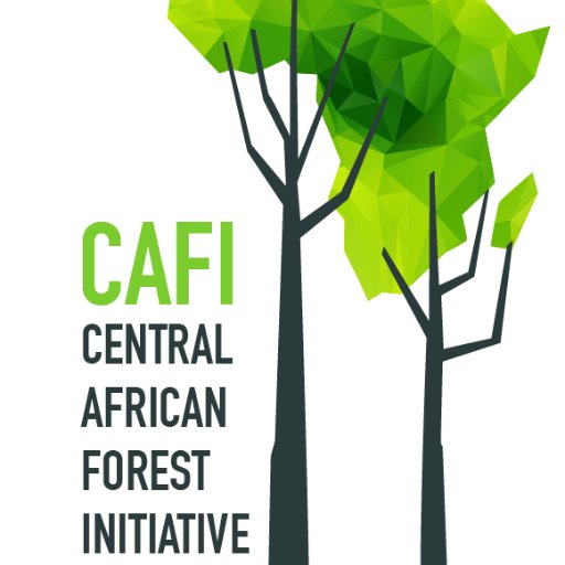 Central African Forest Initiative: Accelerating reforms to fight climate change, protect forests, reduce poverty and support sustainable development