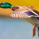 Luke Drake - @Drakehead - Twitter