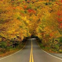 Mohammad (@mohammad3230) 's Twitter Profile