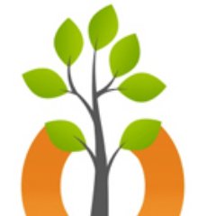 RxMoringa's profile picture. 