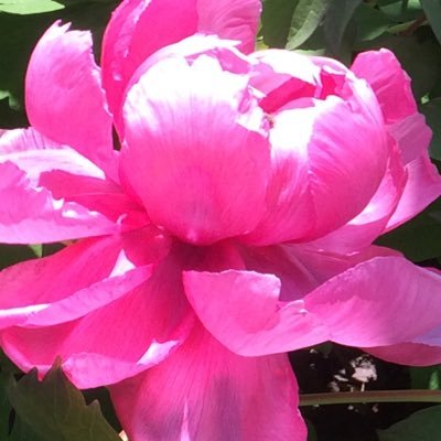 Katkuta7's profile picture. 