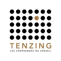 TenzingConseil(@TenzingConseil) 's Twitter Profile Photo