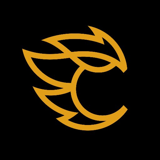 Illustrator + designer specializing in logos, icons and illustration.