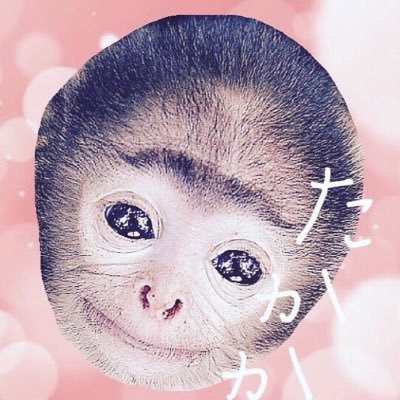 okakakurarowa25's profile picture. クラロワ最多🏆7412 😊