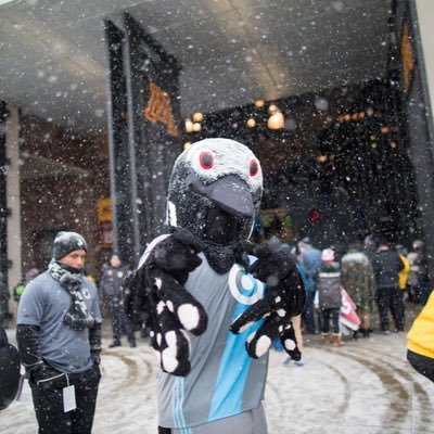 Official Mascot of @MNUFC. Follow me for the Loon’s eye view of my beloved club.