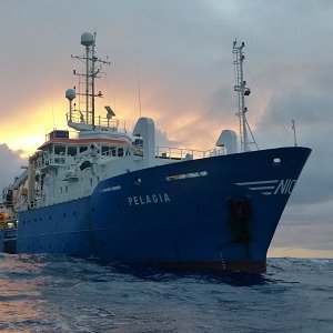 NIOZatSea: account of Royal NIOZ, the Netherlands Institute for Sea Research. Tweets by scientists on expedition & doing fieldwork from delta to deep ocean
