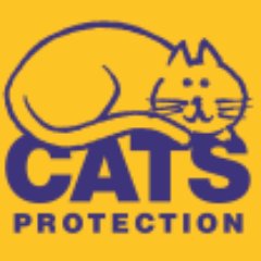This is the official twitter page for Cats Protection, Chesterfield and District branch. #HereForTheCats  #AdoptDontShop